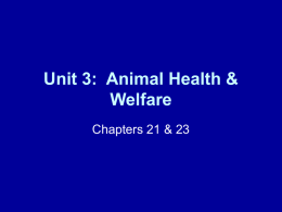 Unit 3: Animal Health & Welfare