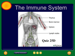 The Immune System Quiz 25D continued