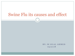 Swine Flu its causes and effect