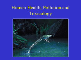 Human Health & Toxicity