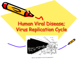 Virus Replication Cycle - Cal State LA