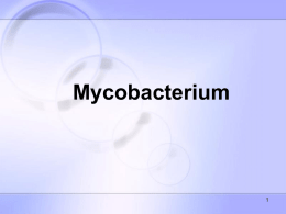 M. Tuberculosis