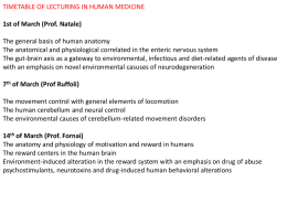 The Human Medicine Within the PH Module. Prof. Natale