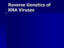 Reverse Genetics of RNA Viruses Reverse Genetics