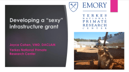 Developing a *sexy* infrastructure grant