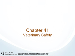 1. Safety in the Veterinary Industry PPT