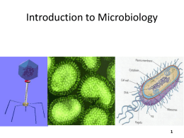 What is Microbiology?