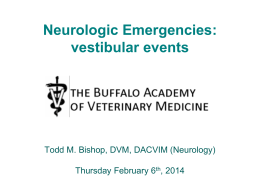 Vestibular disease - Buffalo Academy of Veterinary Medicine