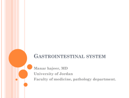 Gastrointestinal tract (1)