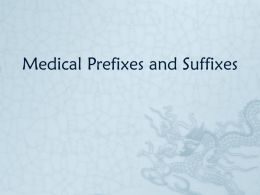 Medical Prefixes and Suffixes