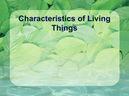 Characteristics of Living Things Lesson