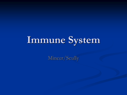 Immune System New
