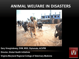 physical and mental Why animal welfare In Disasters?