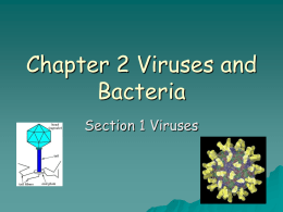 Chapter 2 Viruses and Bacteria