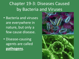 Chapter 19-3: Diseases Caused by Bacteria and Viruses