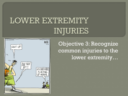 Lower Extremities ppt