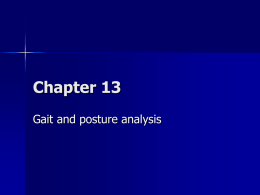 Gait and Posture Analysis