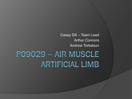 P09029 – Air Muscle Artificial Limb