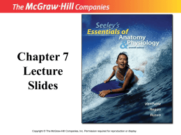 Chapter 7-The Muscular System
