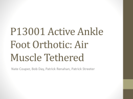 Foot Stabilization Air Muscle Attachment