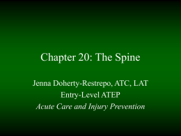 Chapter 25: The Spine
