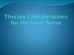 Therapy Considerations for the Ulnar Nerve