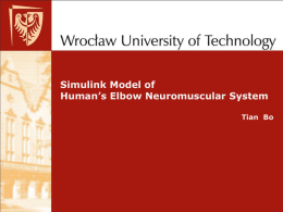 Simulink model of Human elbow neuromuscular system