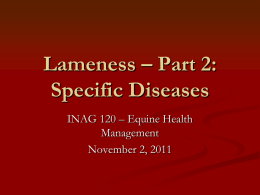 Lameness * Part 2: Specific Diseases
