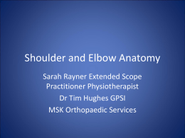 Shoulder anatomy (MS Powerpoint)