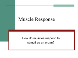 Muscle Response Lecture