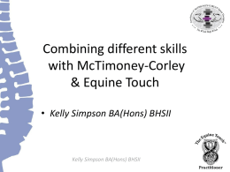 Combining different skills with McTimoney