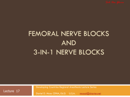 Slides 17 Femoral Nerve Blocks and 3-in
