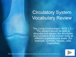 Circulatory System Vocabulary Review