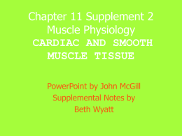 Chapter 11 Supplement 2 Muscle Physiology