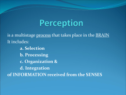 Perception - Murray State University