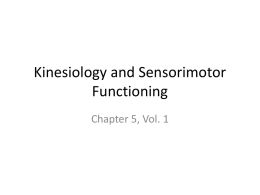 Kinesiology and SEnsorimotor