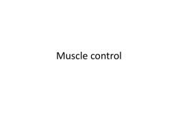 Muscle control