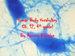 Human Body Vocabulary Ch. 12, 4th grade!