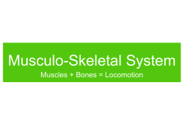 Musculo-Skeletal System