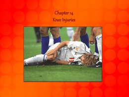 Chapter 14 Knee Injuries