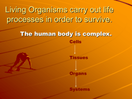 Living Organisms carry out life processes in order to survive.