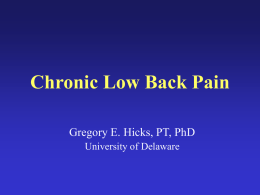 Low Back Pain in the Elderly
