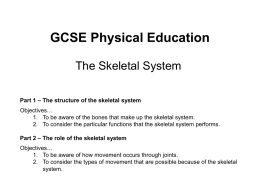 The Skeletal System PPT