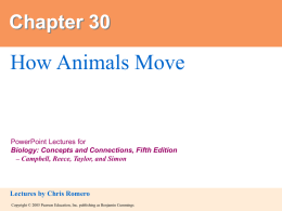 30. How Animals Move