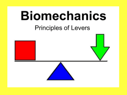 Biomechanics - Principles of Levers