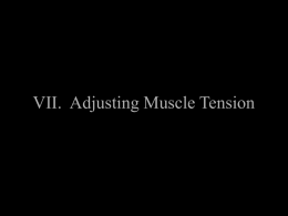 VII. Adjusting Muscle Tension