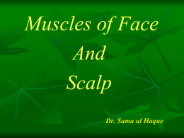 Muscles of Face and Scalp