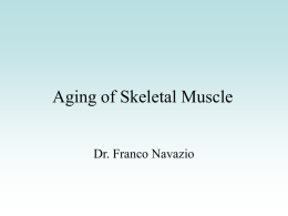 Aging of Skeletal Muscle