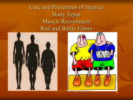 Care and Prevention of Injuries Body Types Muscle Recruitment