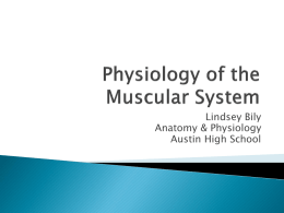 Physiology of the Muscular System